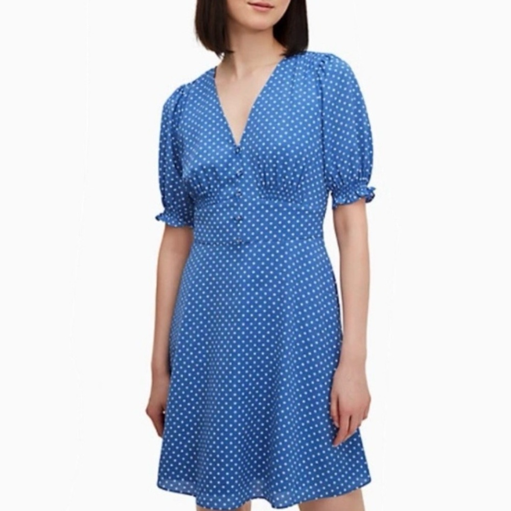 Kate Spade Tea garden Cornflower Blue Lined Summer Spring Dress Sz 4 $329